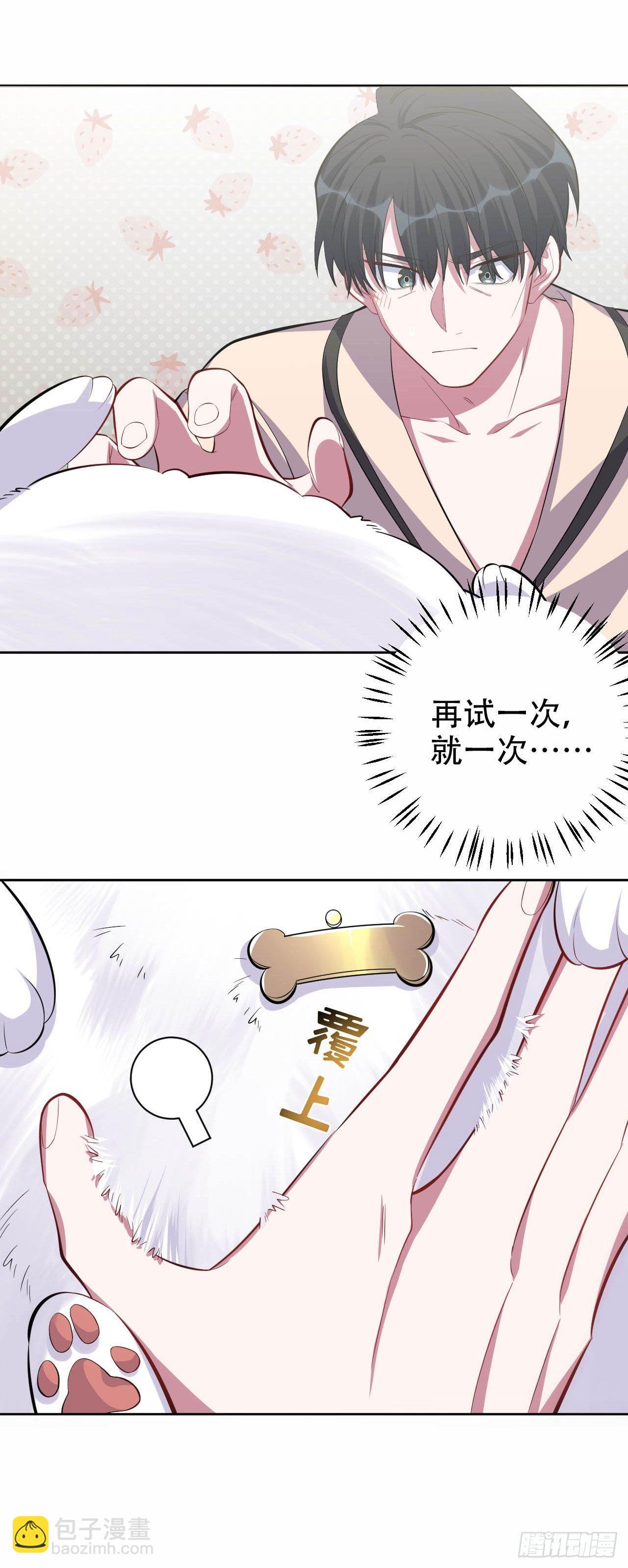 岳父大人是老婆 - 27.球球的逆襲！ - 2