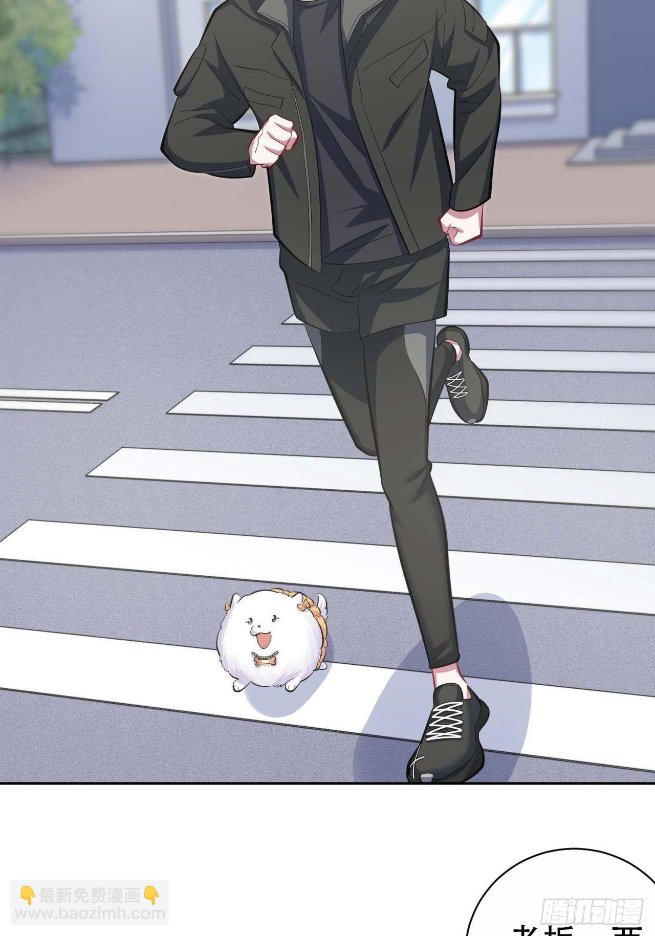 岳父大人是老婆 - 31.球球走丟了 - 4