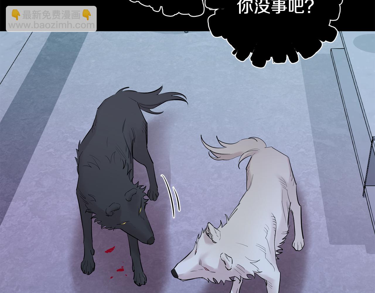 月光嚎叫 - 第56話 保護你(3/4) - 6