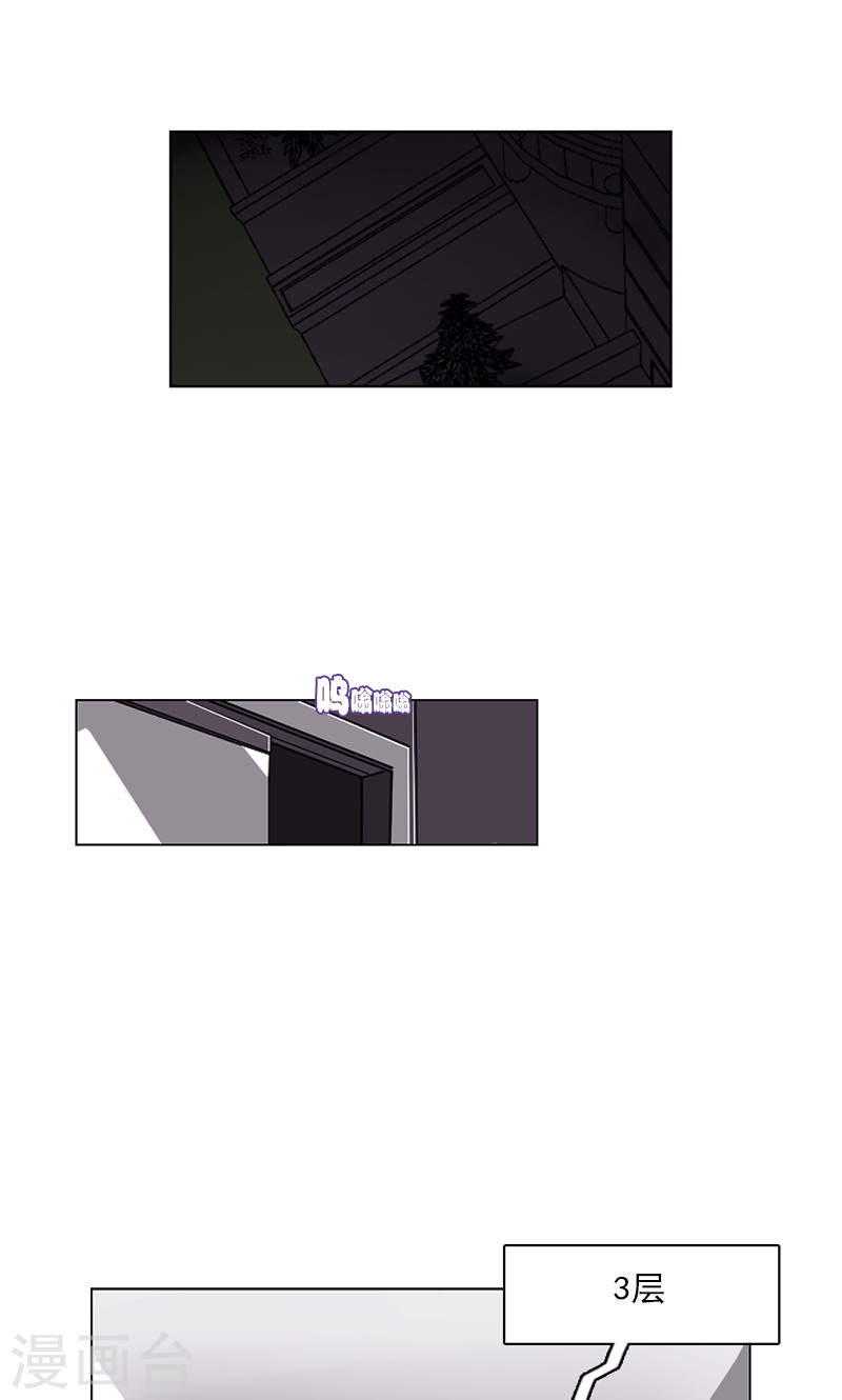 第41话 转学生！-第41话