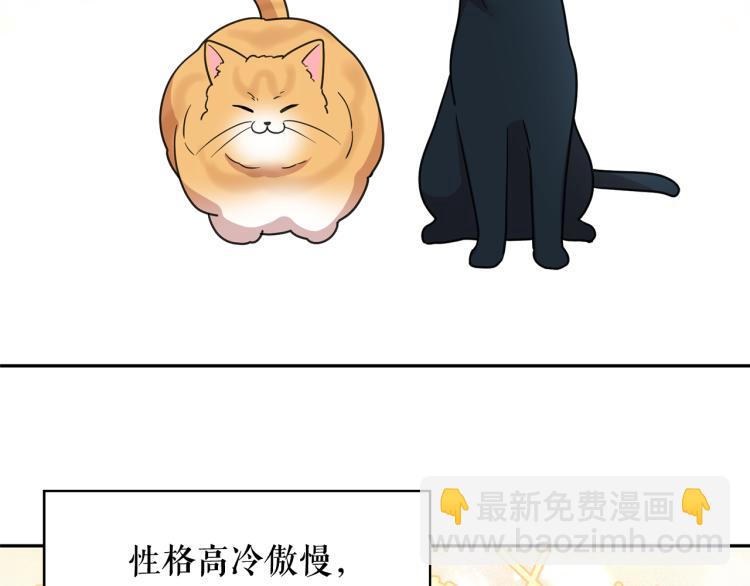 月亮魔女與太陽陛下 - 第67話 恢復記憶(1/3) - 8