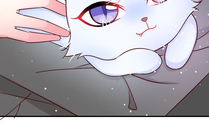 第29话 神秘组织的目的-第29话