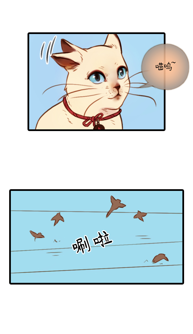 37.是球瑜伽哟（二）-第37话