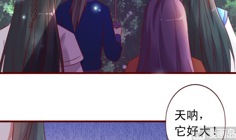 第65话 守护兽来了-第65话