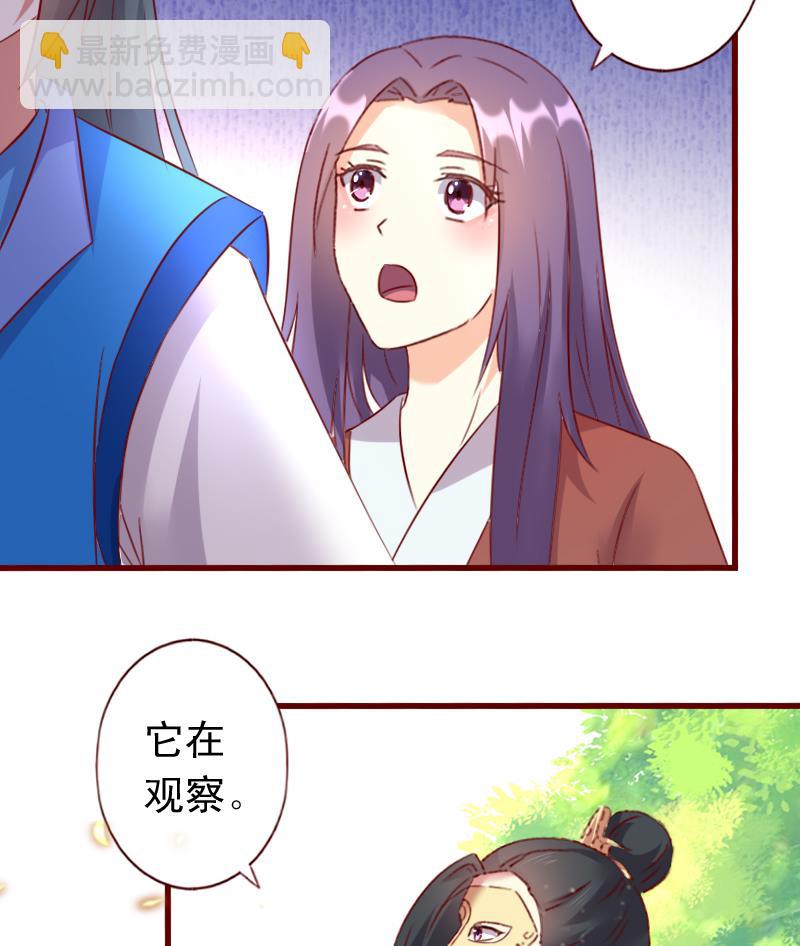 第65话 守护兽来了-第65话