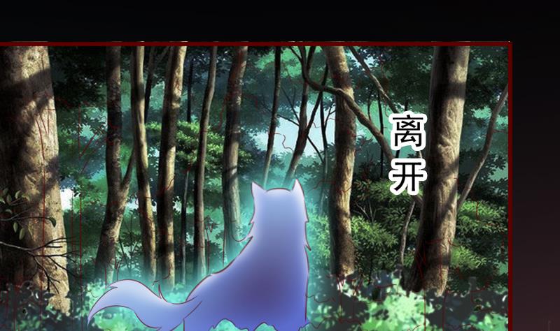 第65话 守护兽来了-第65话