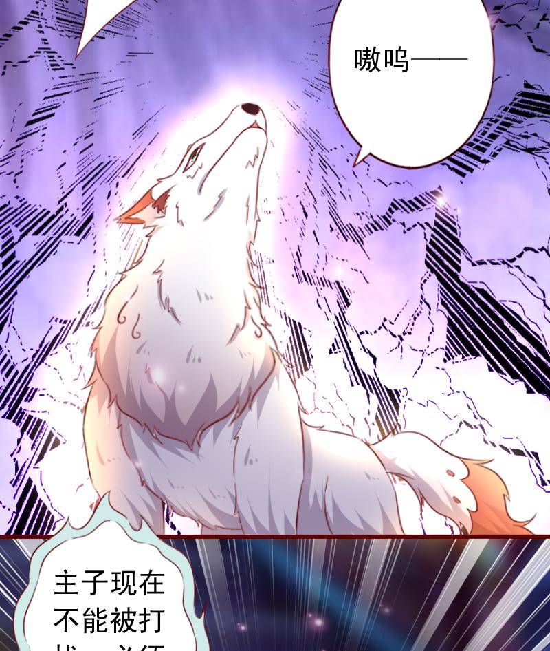 第73话 不要爱上不该爱的人-第73话