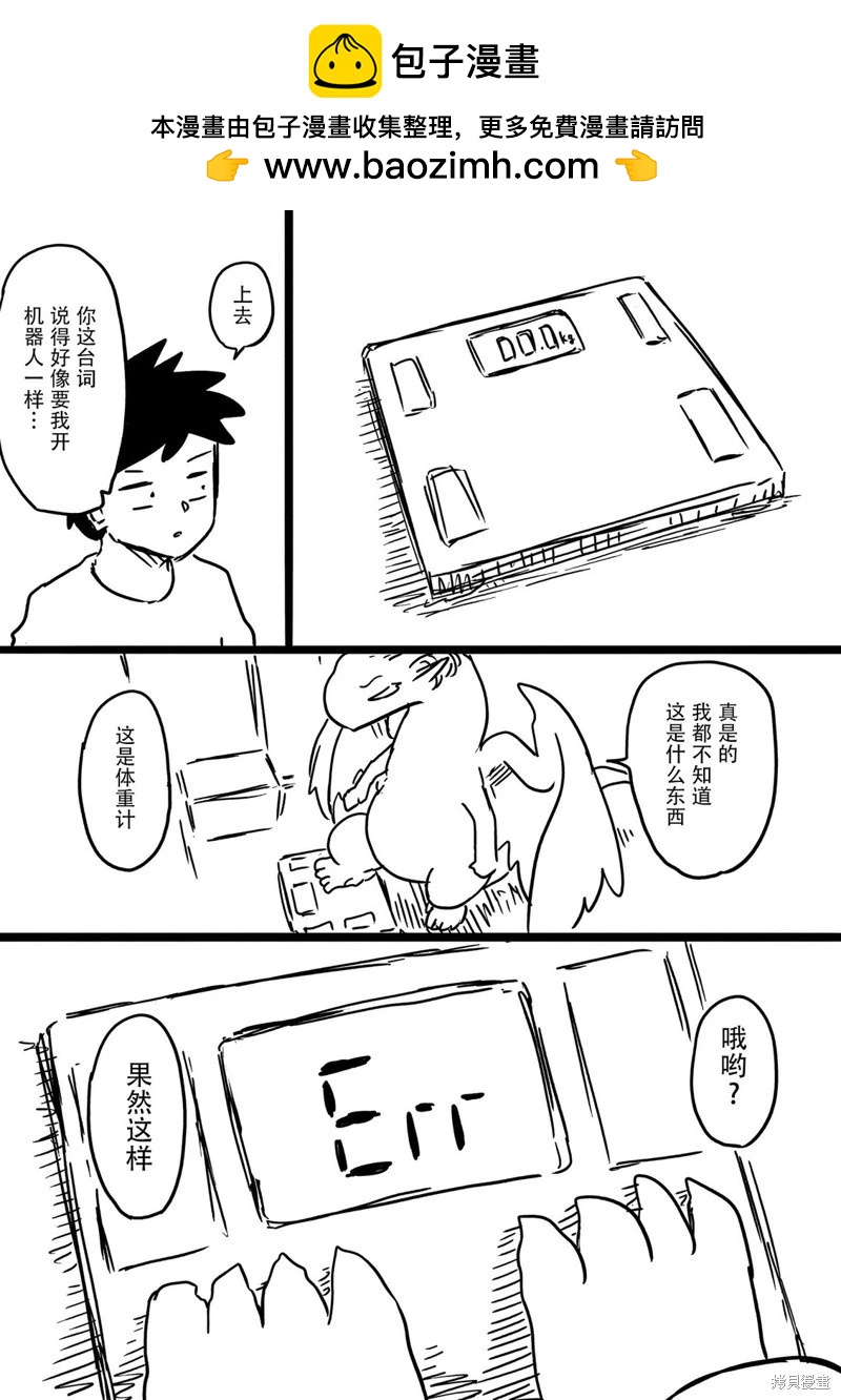 與龍共度的六席小屋生活。 - 測測龍的體重！ - 1