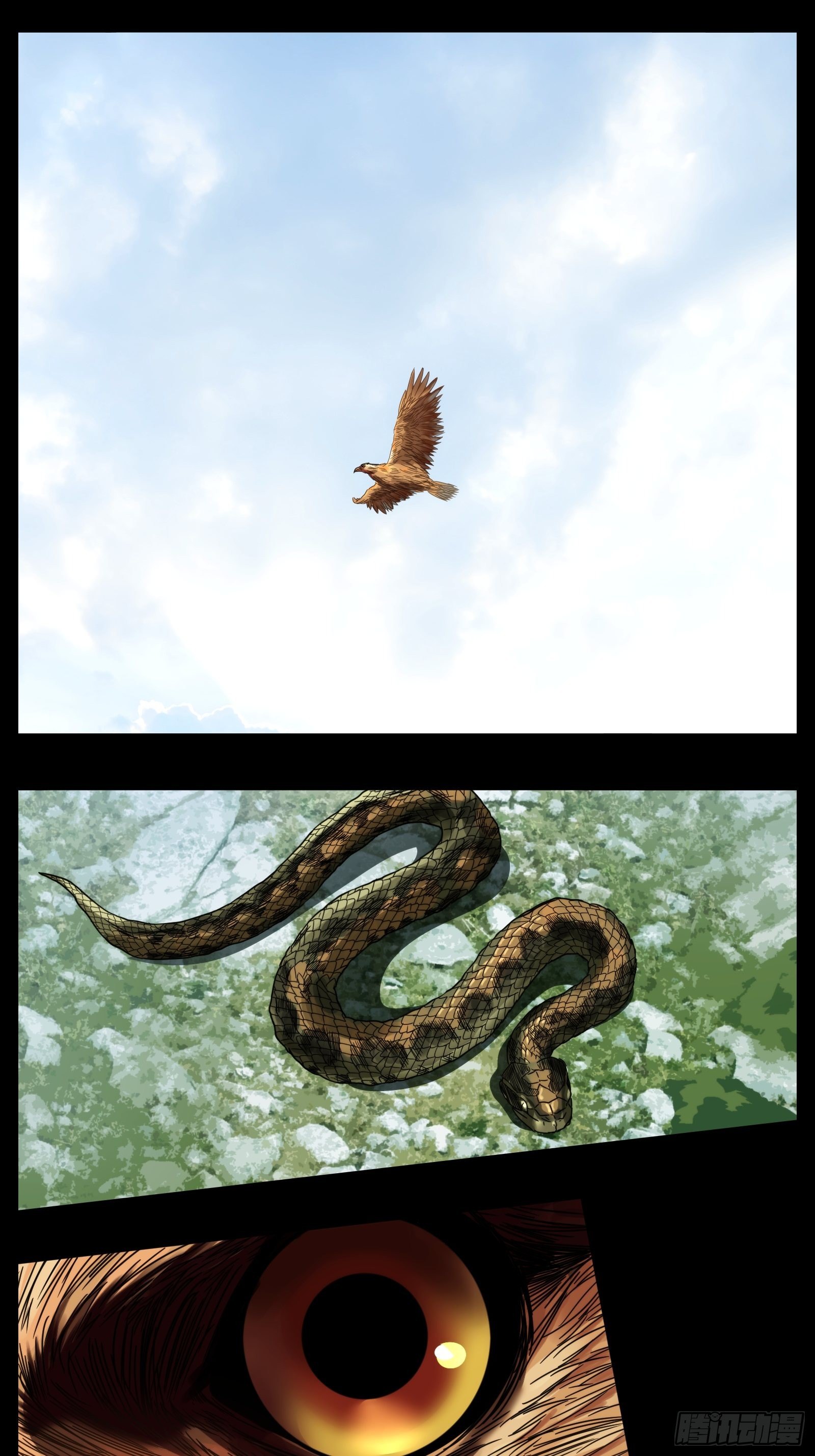 第二十四话：新盟友-第25话