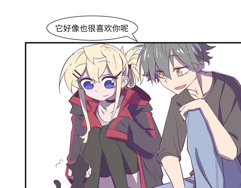 第18话 靠猫上位-第19话