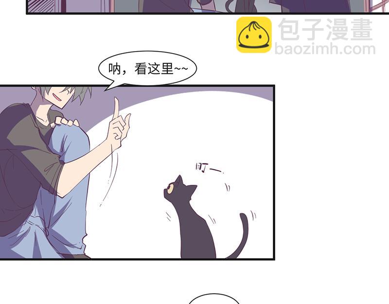 第18话 靠猫上位-第19话