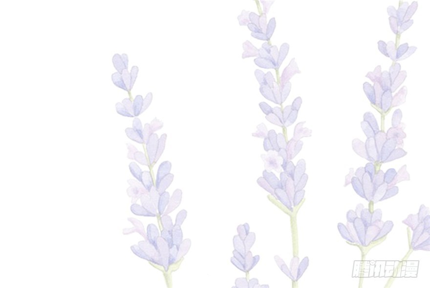 028-被调戏了？！(1/2)-第29话