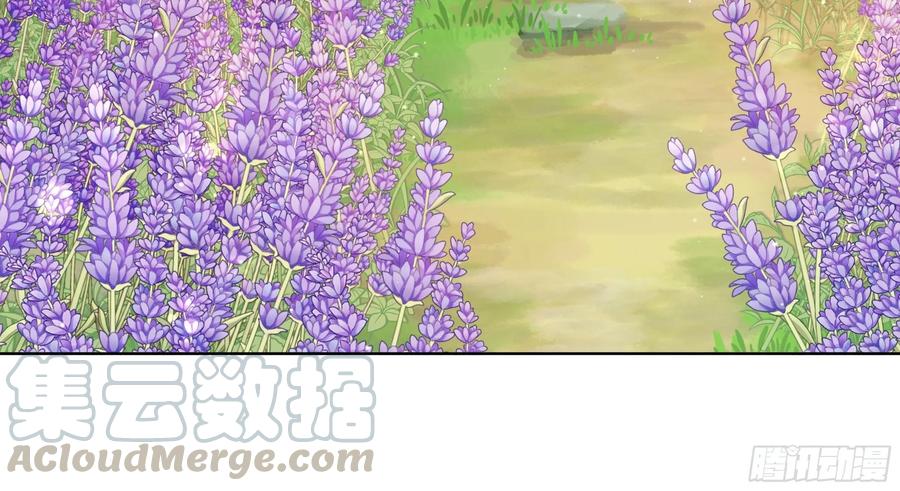 第205回 曾经的记忆-第195话