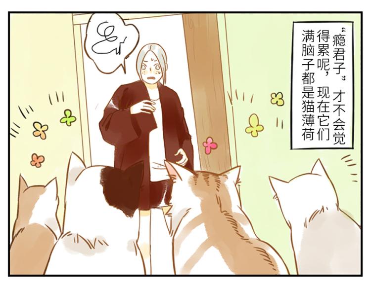 第19话（下） 熬夜妖(1/2)-第27话