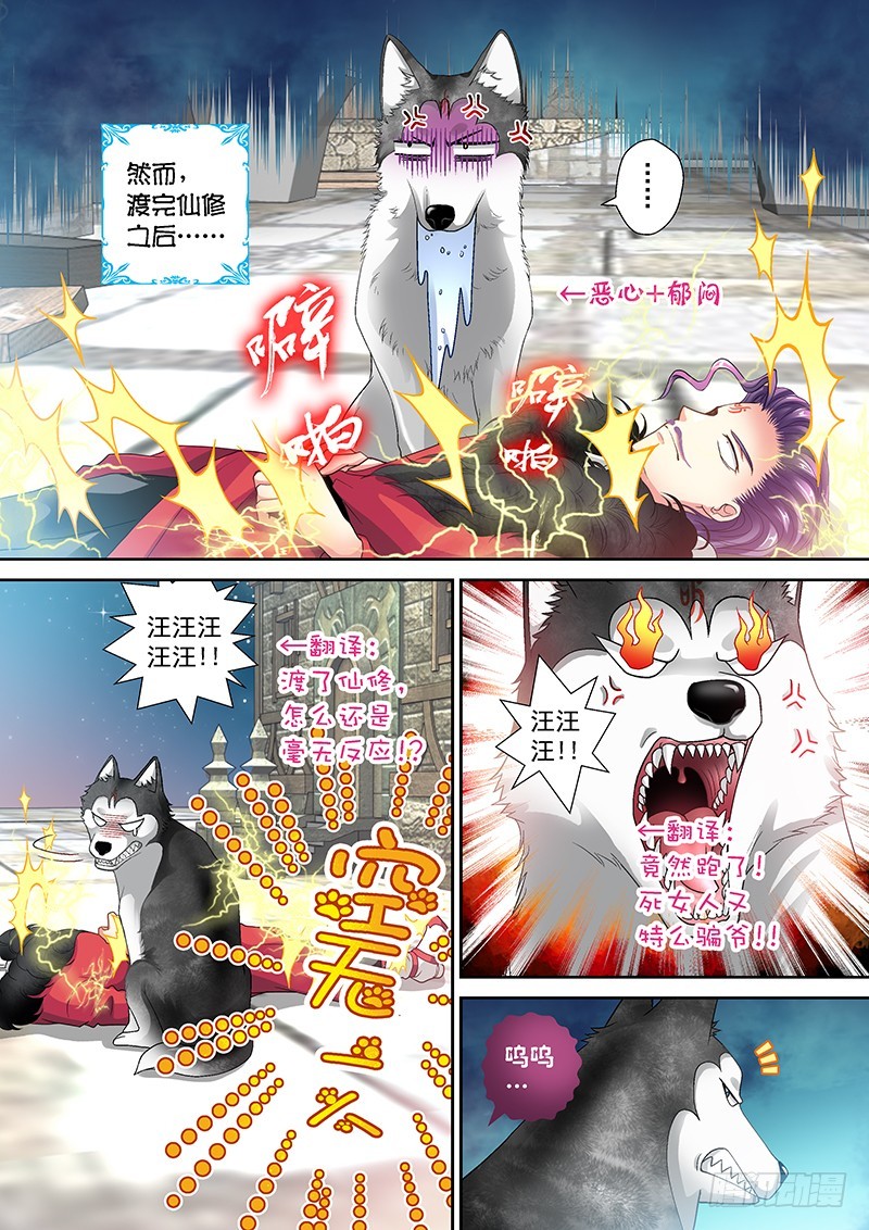 013-3 喵了个汪汪汪！-第53话