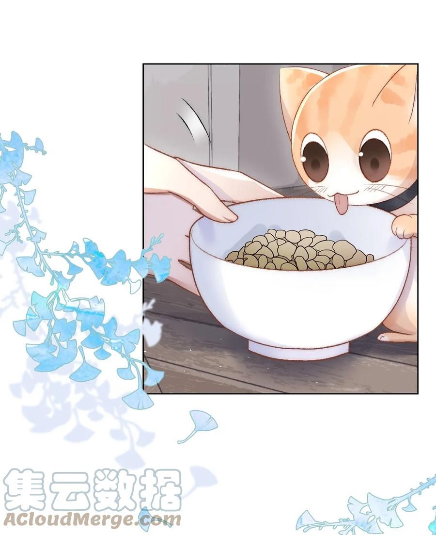 034 迟来的关爱比草轻-第35话