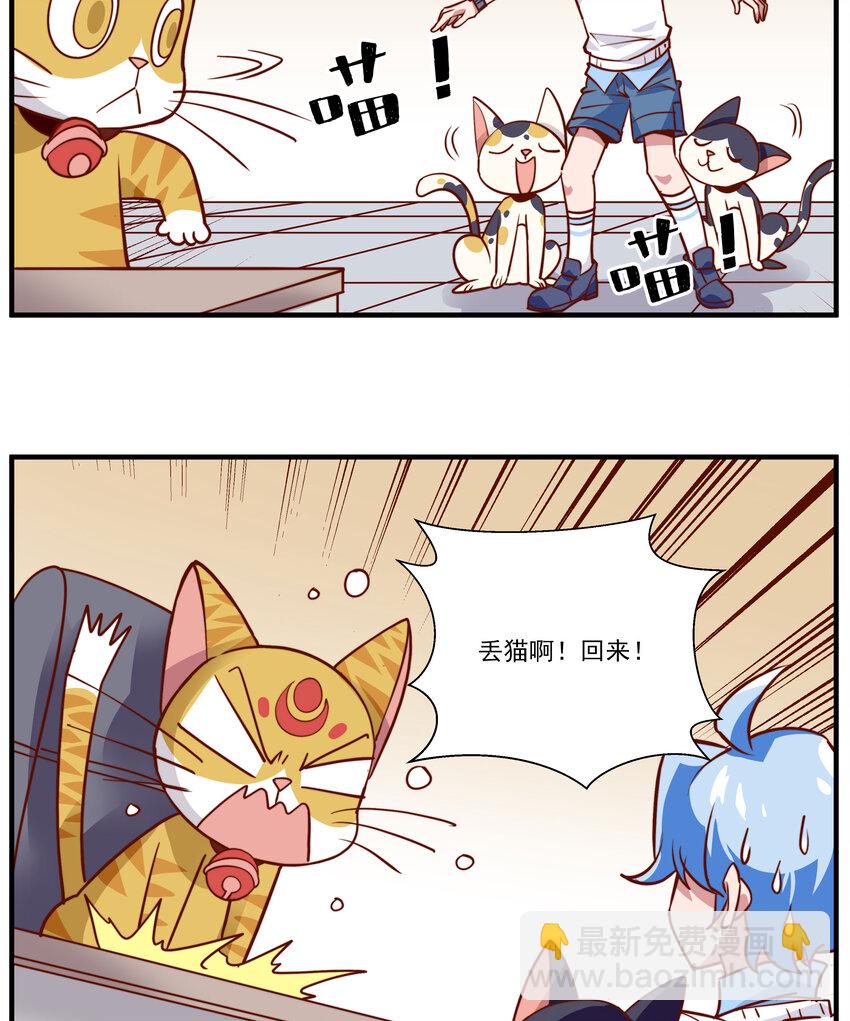 017 卡修斯的吸猫体质-第17话