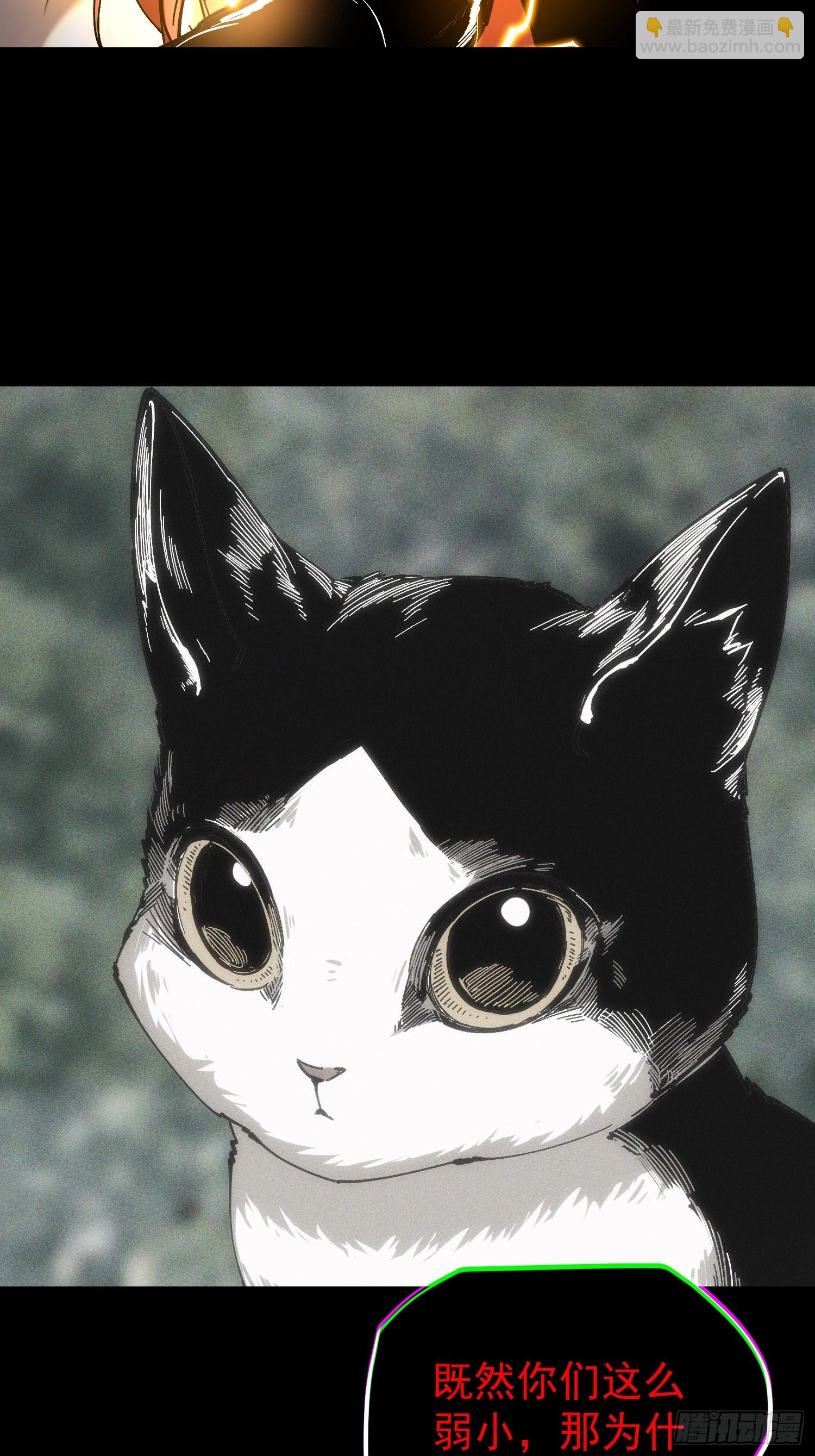 第29话(1/2)-第29话