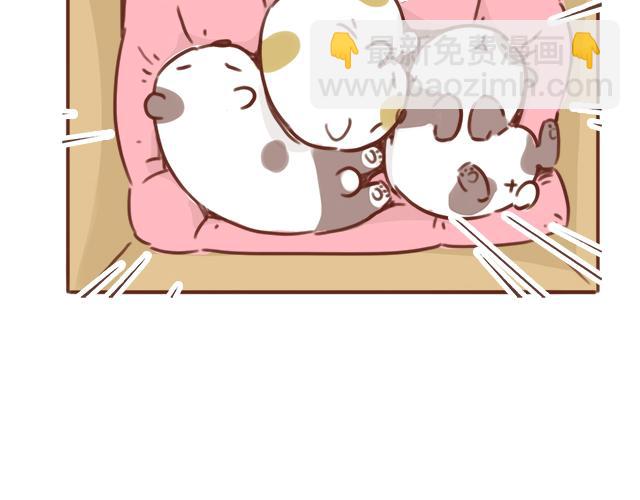 第48话 出现了新&hellip;新阿姨？？(1/2)-第47话