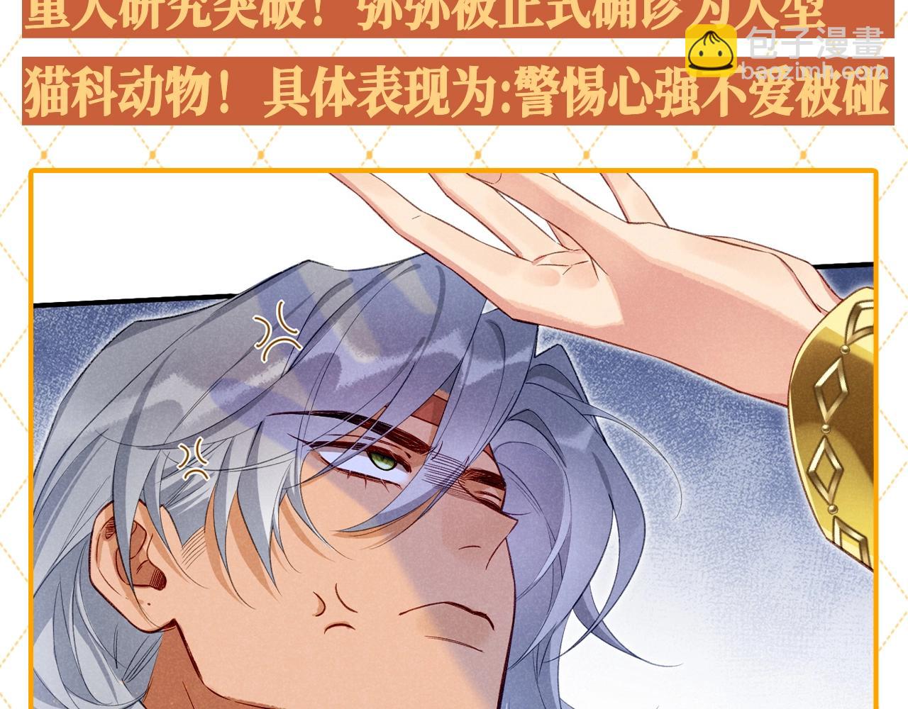 再見，我的國王 - 第46期 整活企劃：瀰瀰被確診爲貓科動物！ - 1