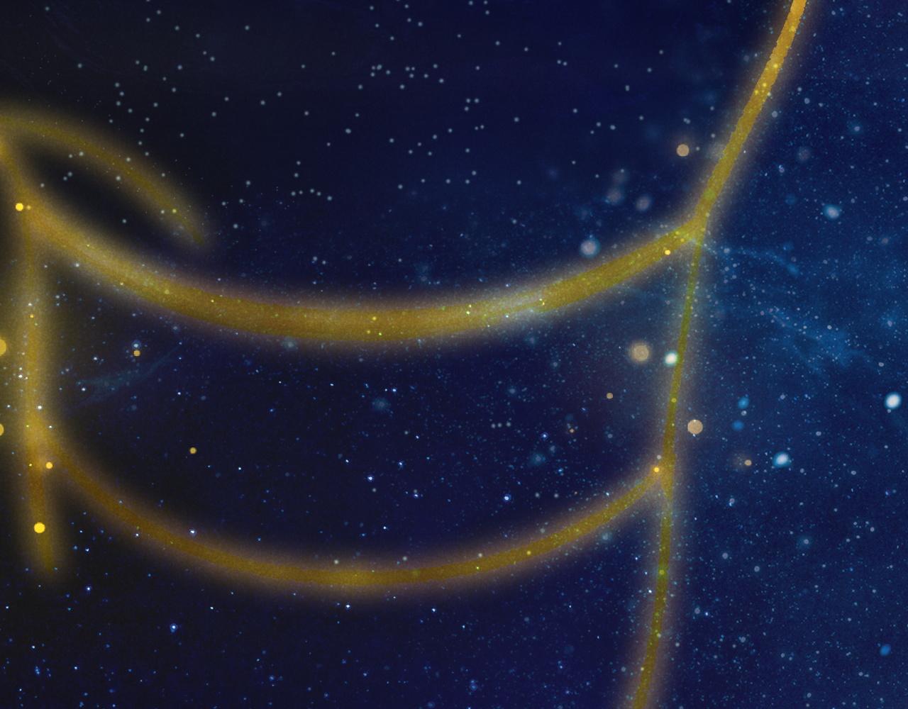 再見，我的國王 - 第119話 無神的國度(3/4) - 8