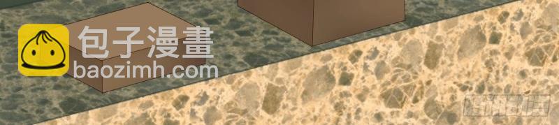 第67话 第66话 终于结婚啦(1/3)-第73话