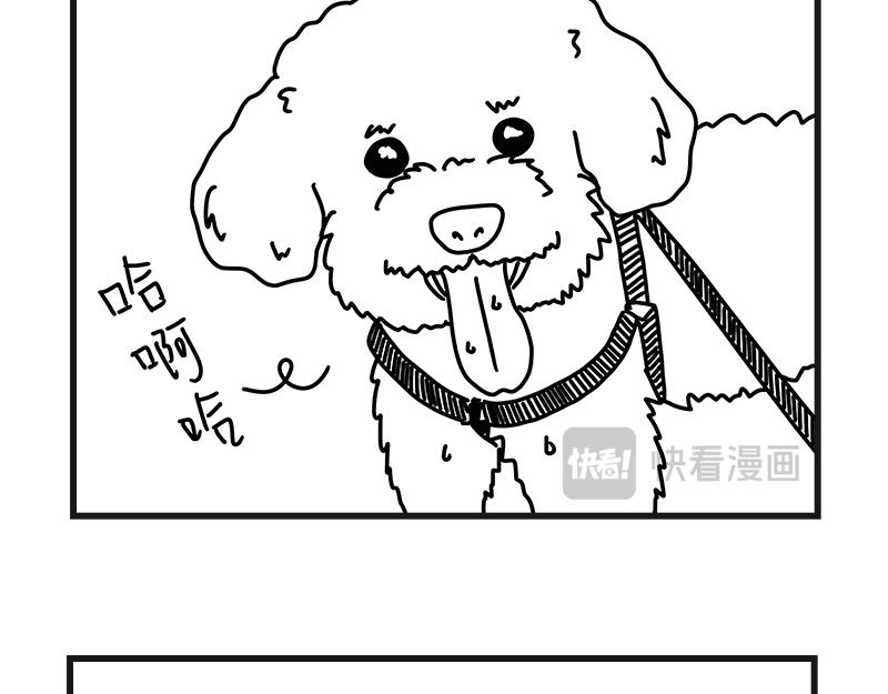 刺客！刺客！-第17话