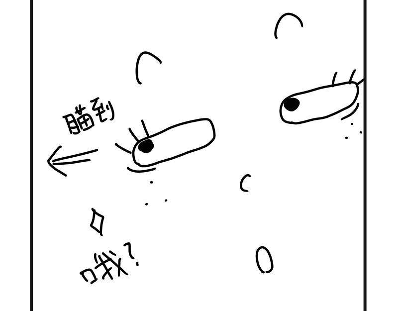 刺客！刺客！-第17话