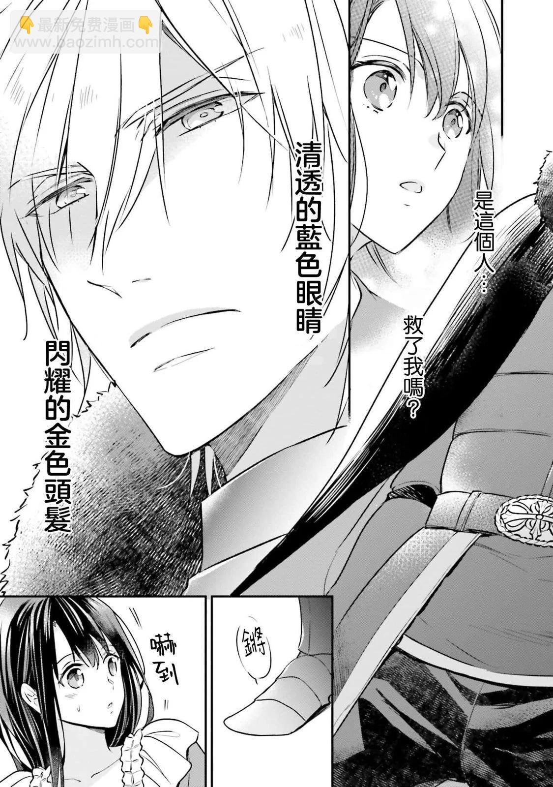 在異世界成爲了替身公主被霸王擄走了 - 第01卷(1/5) - 4