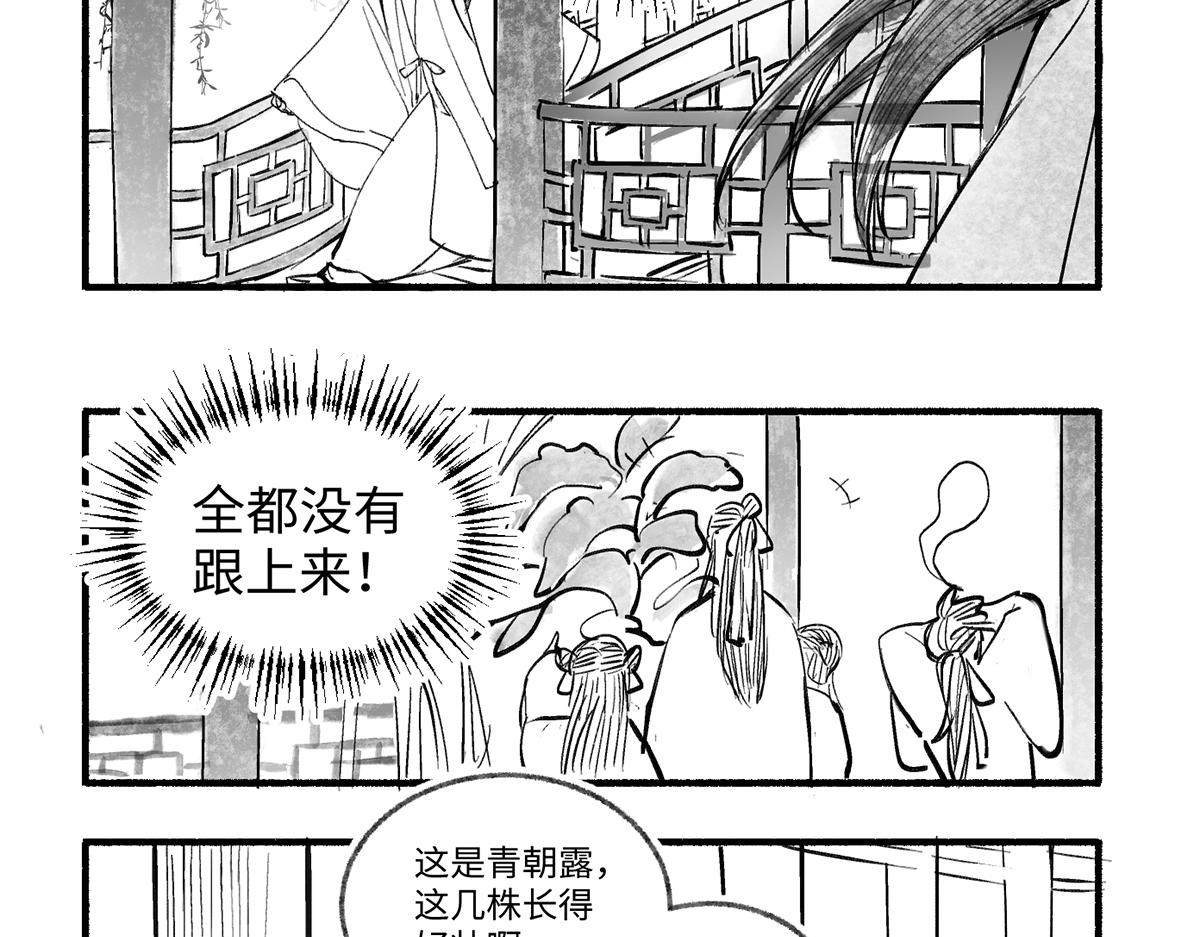 第九回 奇花异草（2）-第41话