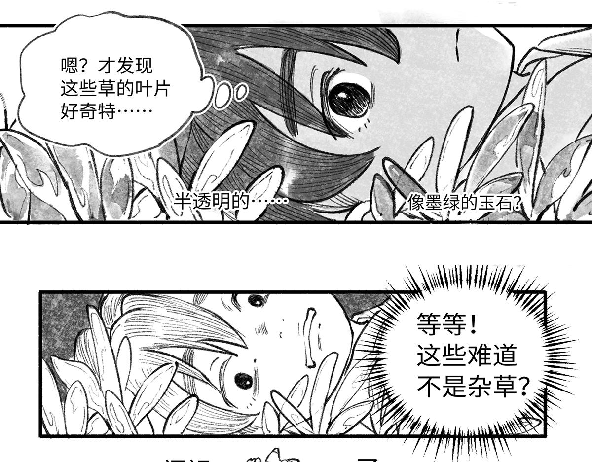 第九回 奇花异草（2）-第41话