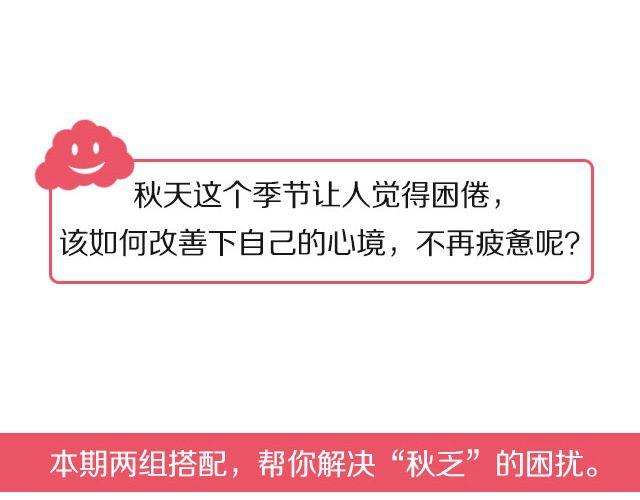 第39期 元气满满餐-第39话