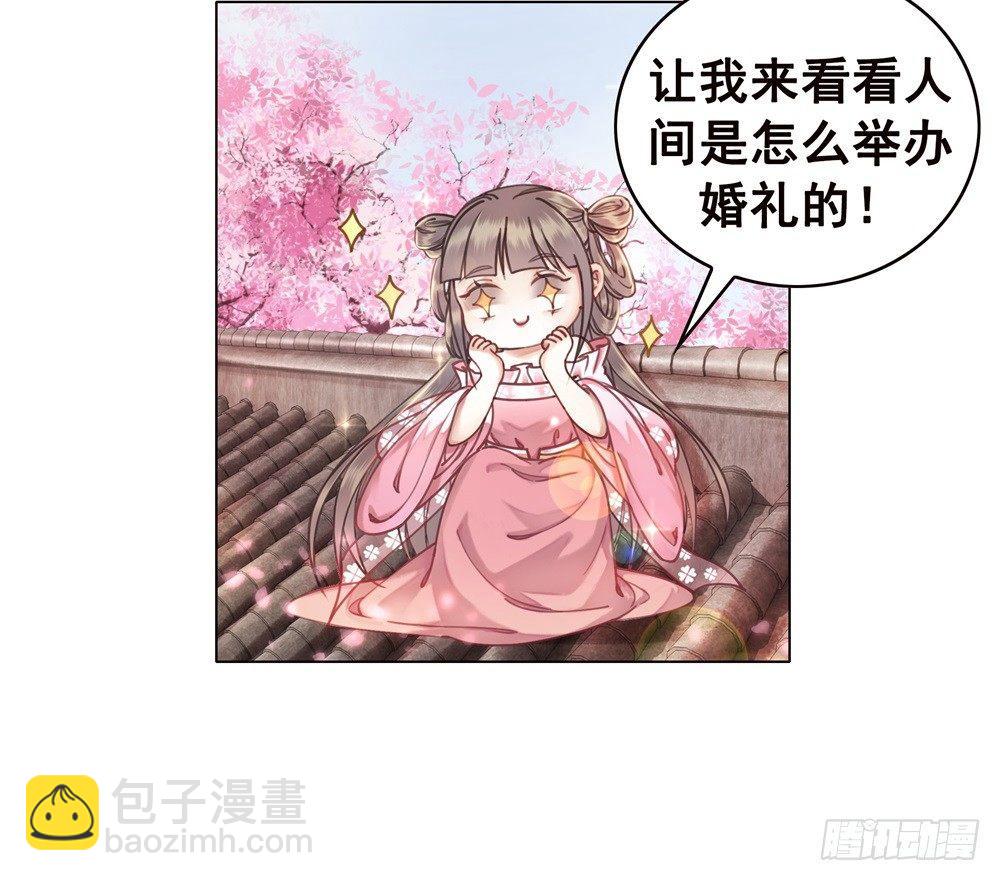 天降红盖头(1/2)-第39话