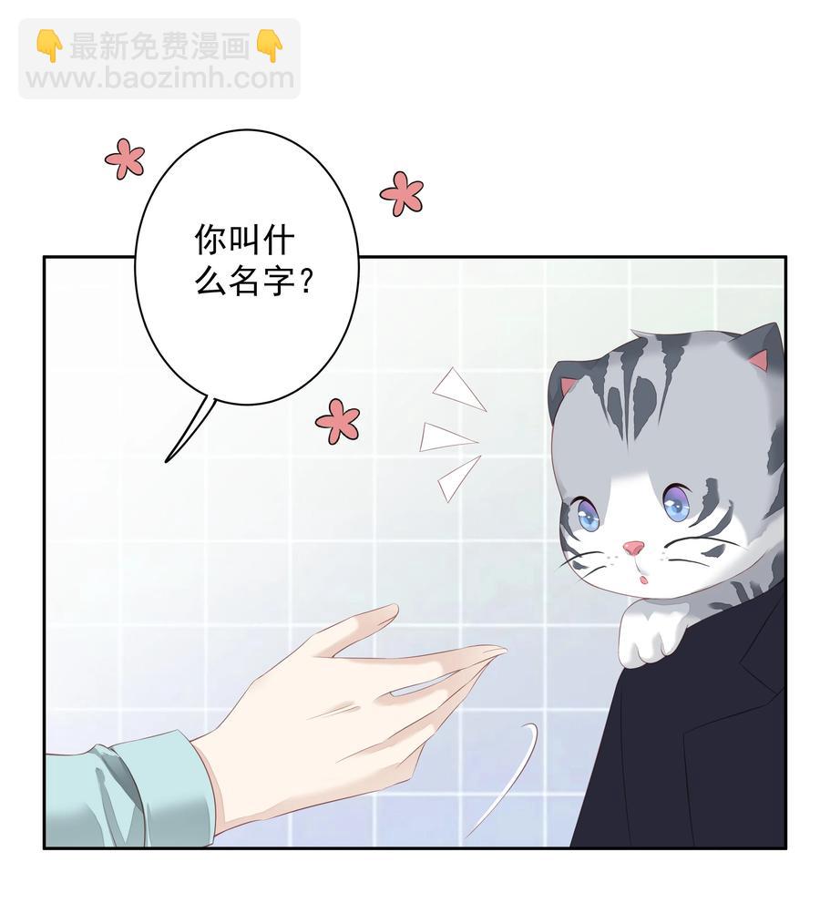 022 白玉狸-第19话