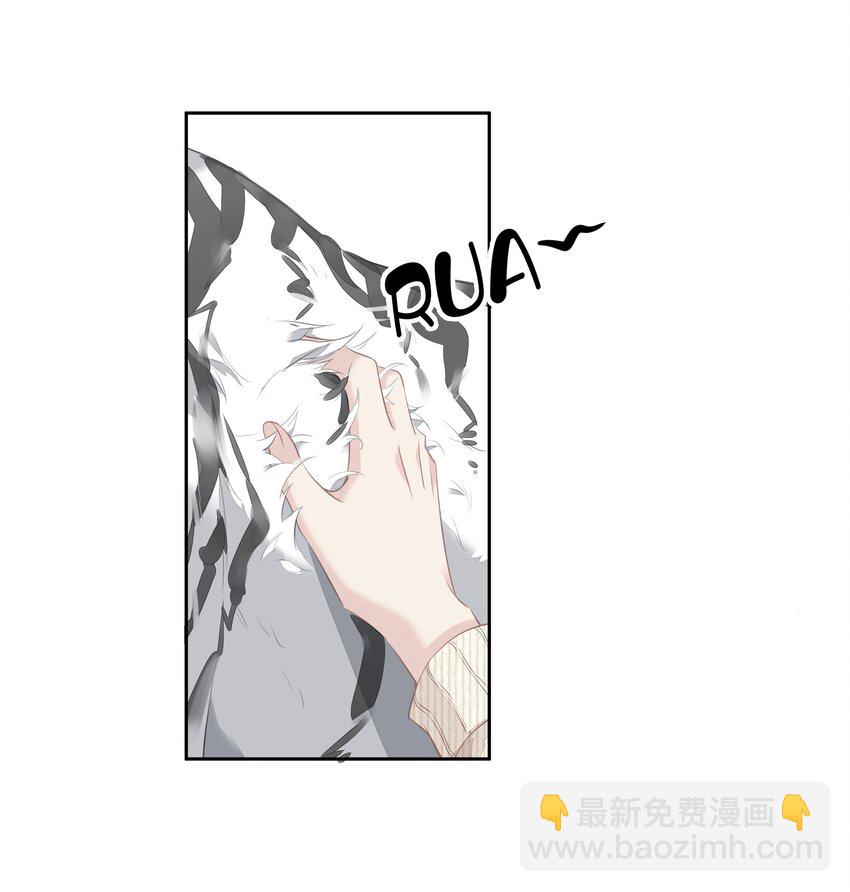 035 rua~老虎毛的手感(1/2)-第33话