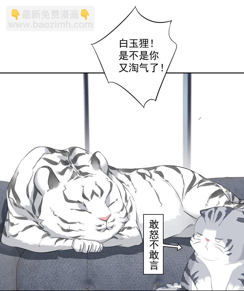 035 rua~老虎毛的手感(1/2)-第33话