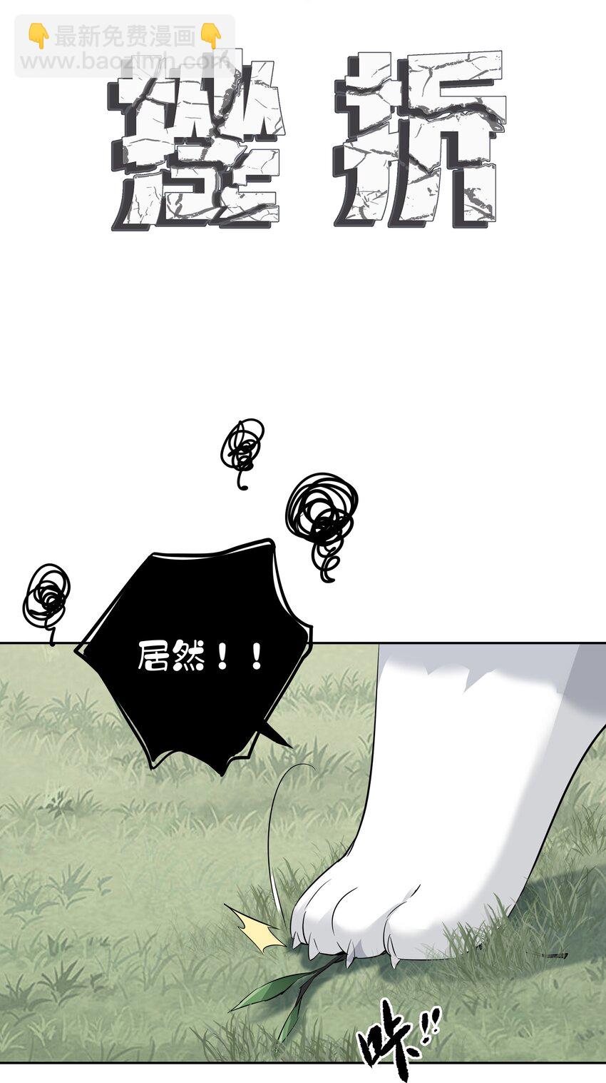 035 rua~老虎毛的手感(1/2)-第33话