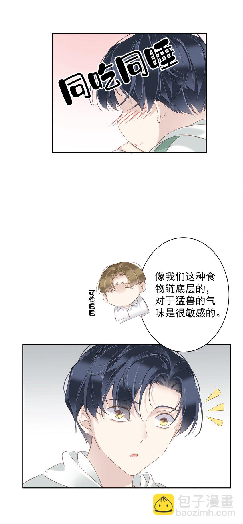 041 让脏话猫自己找吃的-第39话