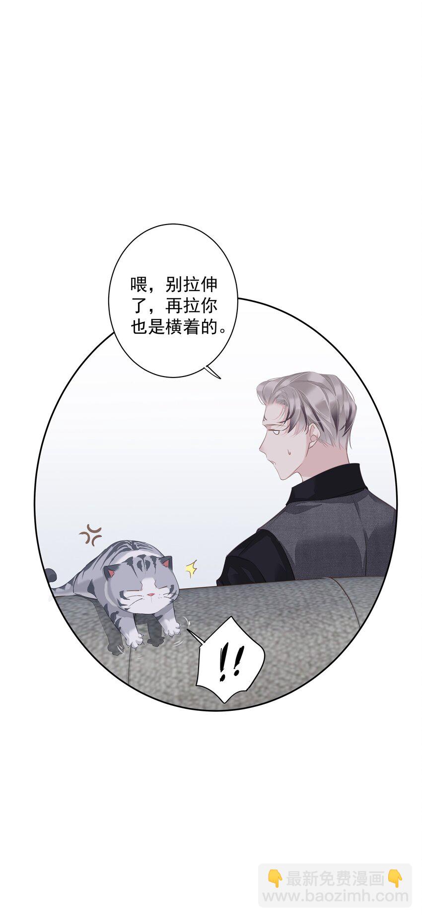 041 让脏话猫自己找吃的-第39话