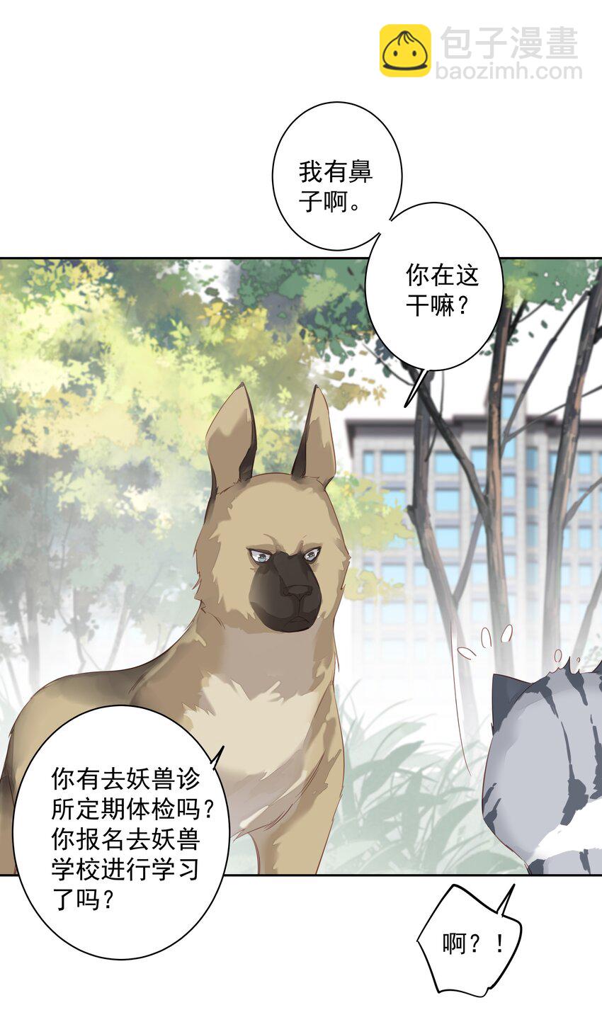 047 白玉狸去上学-第45话