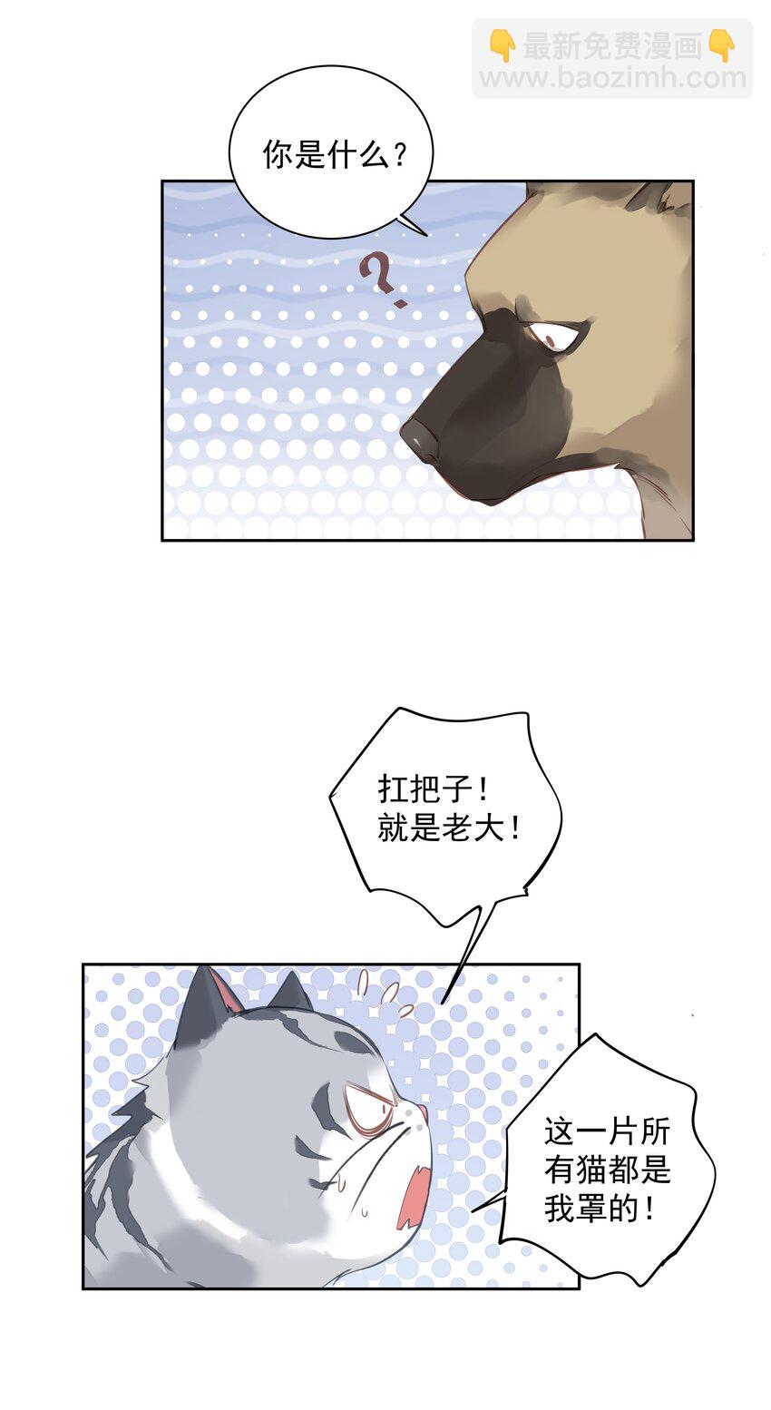 047 白玉狸去上学-第45话