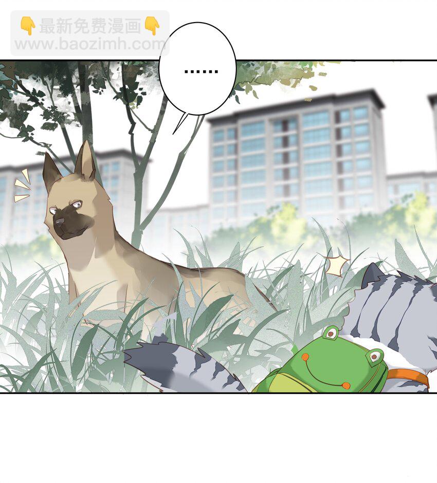 049 我要正式和你约会-第47话