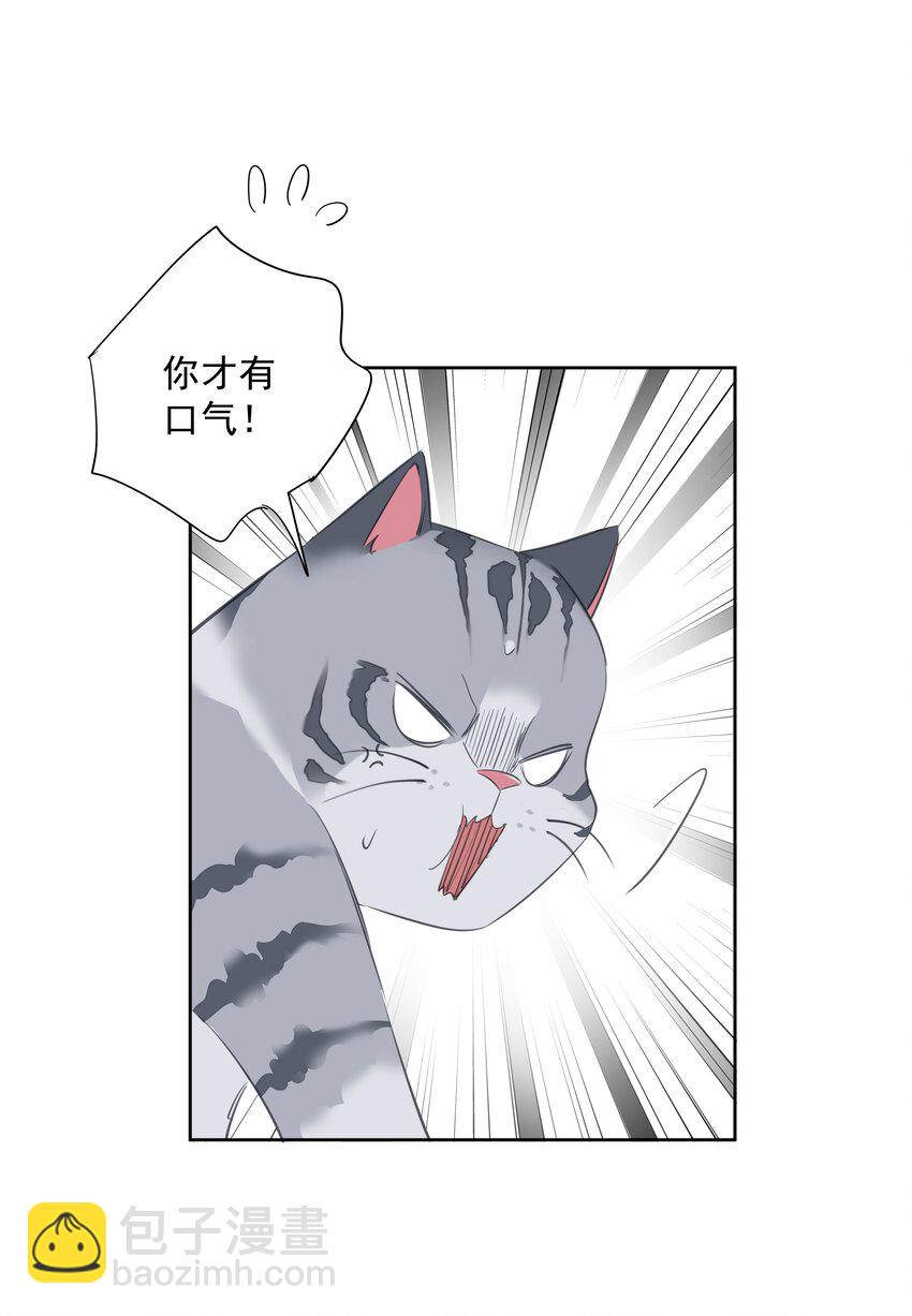 054 狂萌！是我阿彪儿（番外）-第53话