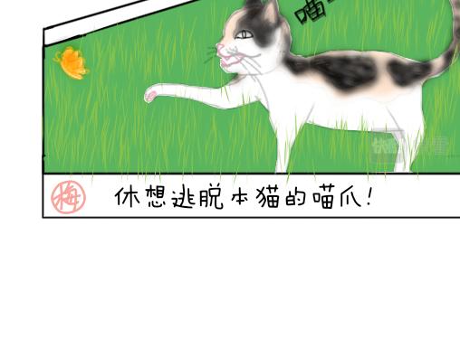 渣貓查查 - 第三話 萬物皆愛吸貓(2/2) - 4