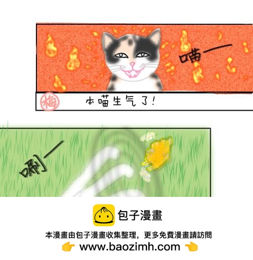 渣貓查查 - 第三話 萬物皆愛吸貓(2/2) - 6