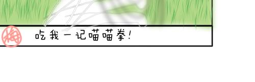 渣貓查查 - 第三話 萬物皆愛吸貓(2/2) - 1