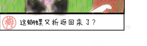 渣貓查查 - 第三話 萬物皆愛吸貓(2/2) - 3