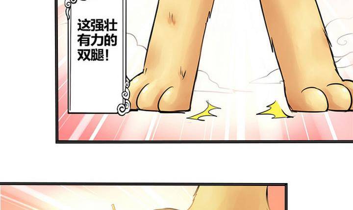 第1话 猴子出世-第1话