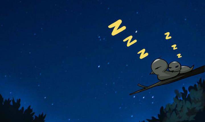 第15话 八千八百八十八话(1/2)-第15话