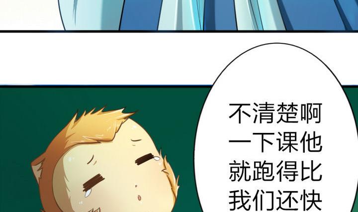 第49话 论特征的重要性-第49话